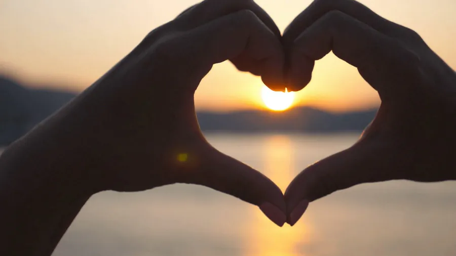 people make a heart with their hands