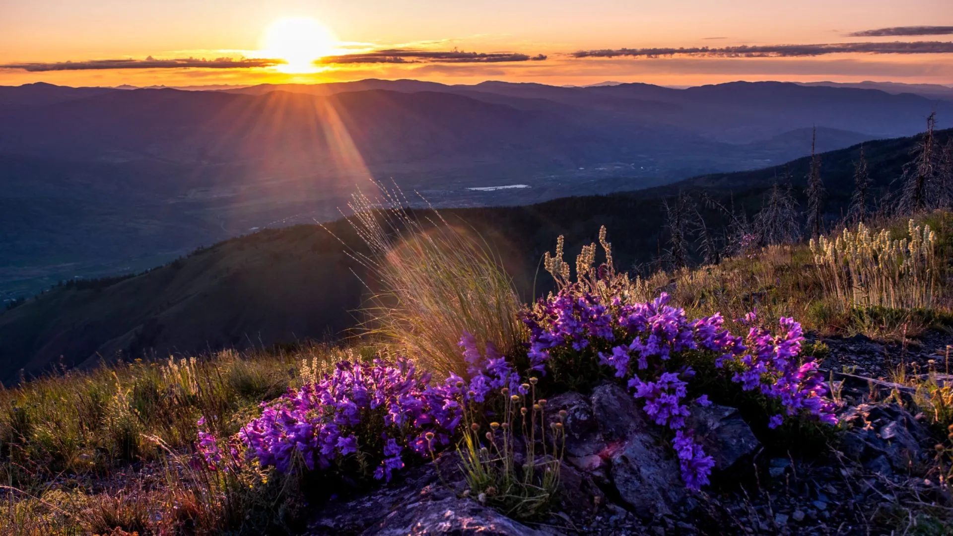 beautiful sunset in the mountains
